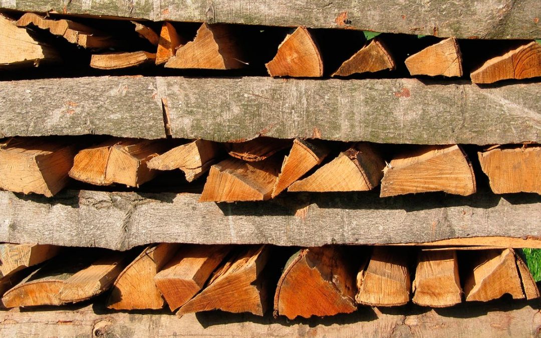 ¡Cuidado! agentes nocivos de la madera